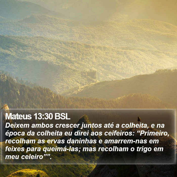 Mateus 13:30 BSL Bible Study