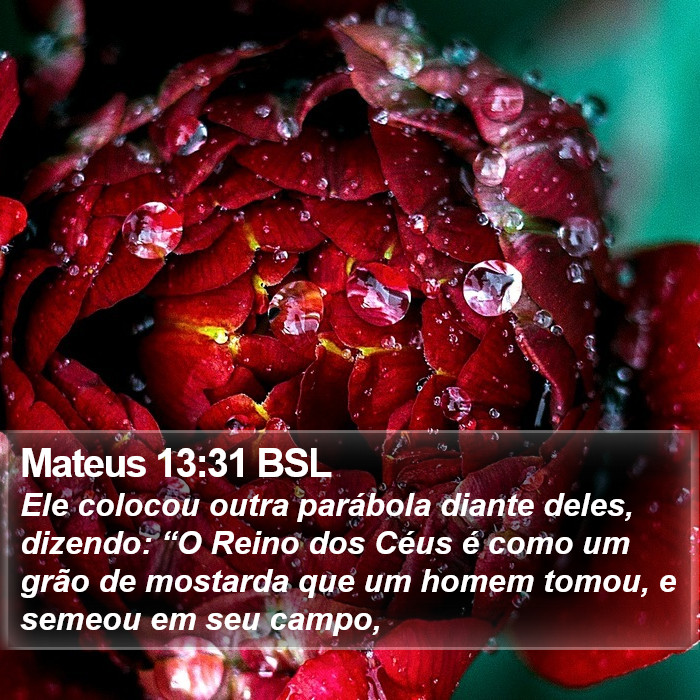 Mateus 13:31 BSL Bible Study