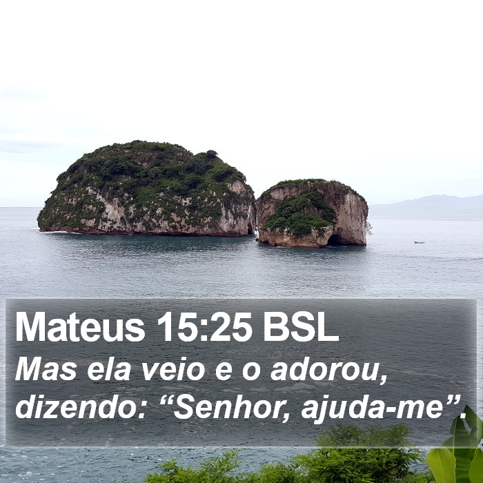 Mateus 15:25 BSL Bible Study