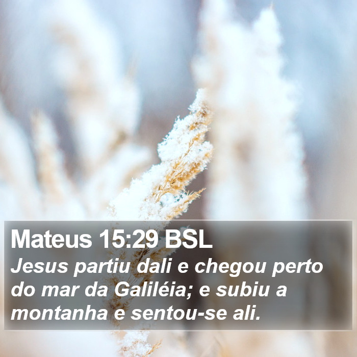 Mateus 15:29 BSL Bible Study