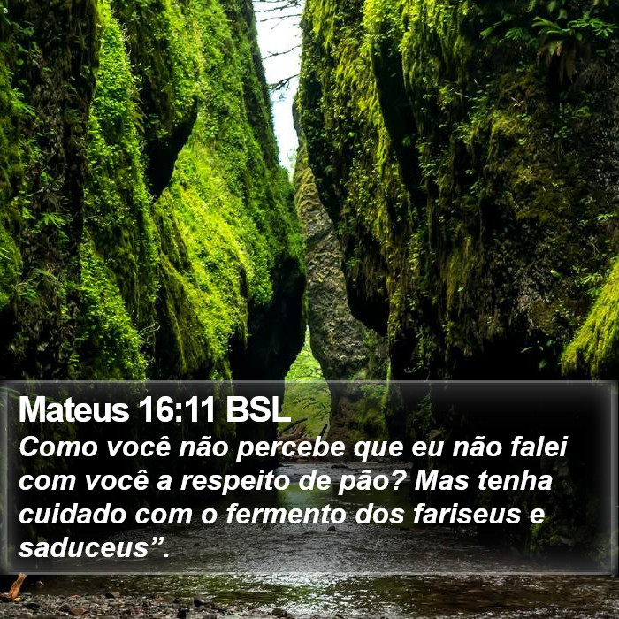 Mateus 16:11 BSL Bible Study