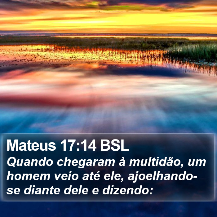 Mateus 17:14 BSL Bible Study