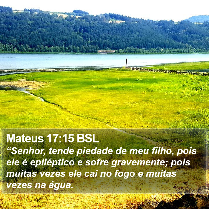 Mateus 17:15 BSL Bible Study