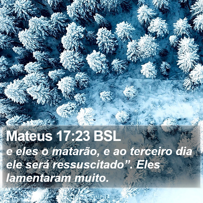 Mateus 17:23 BSL Bible Study