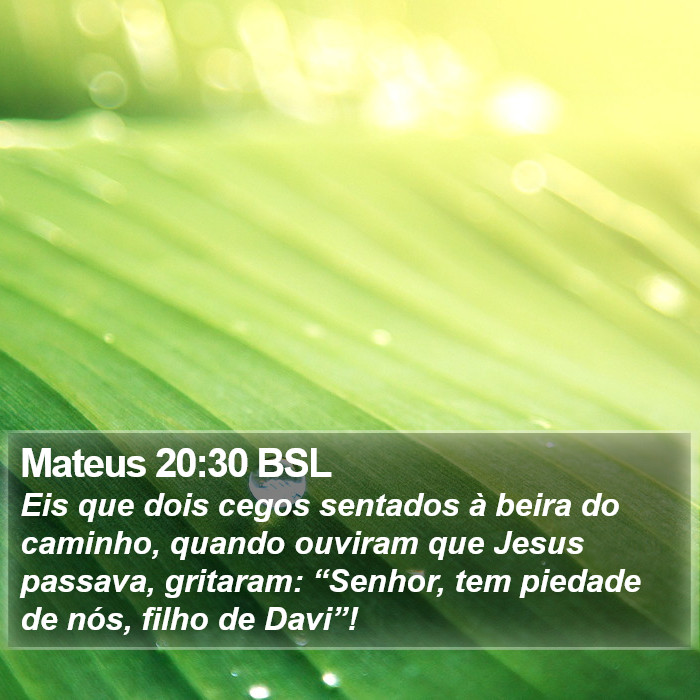 Mateus 20:30 BSL Bible Study