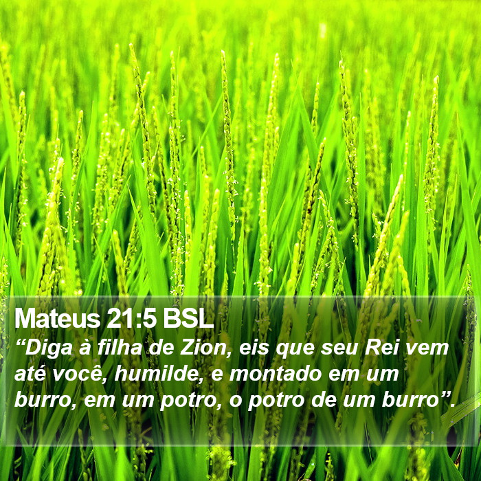 Mateus 21:5 BSL Bible Study