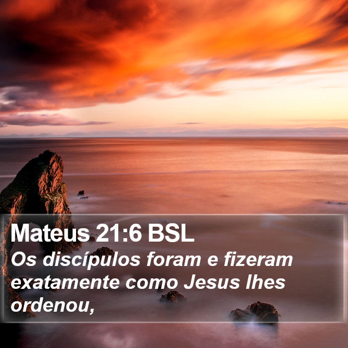 Mateus 21:6 BSL Bible Study