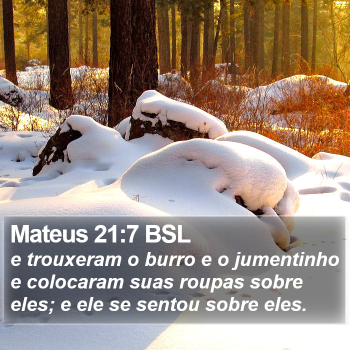 Mateus 21:7 BSL Bible Study