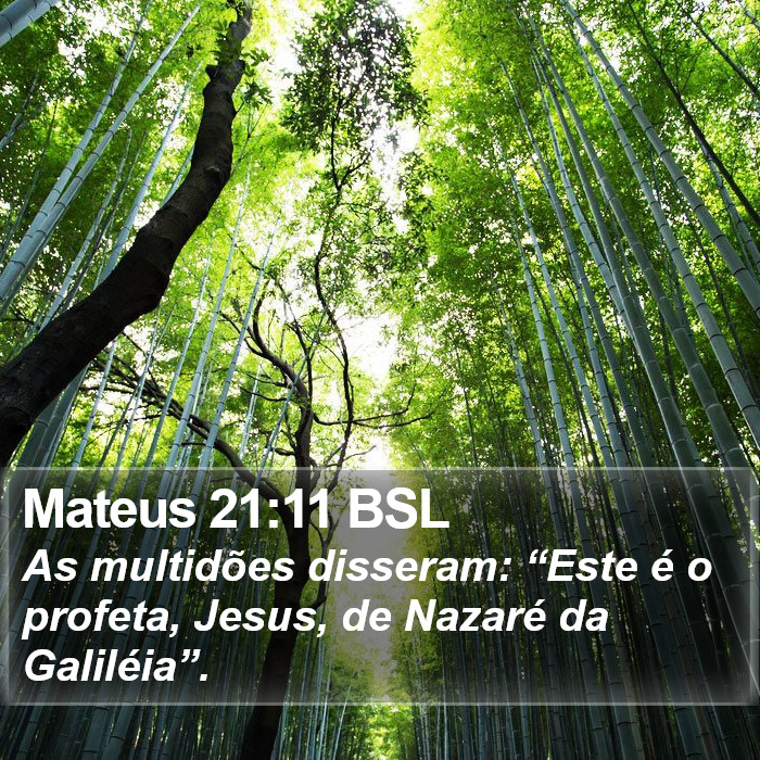 Mateus 21:11 BSL Bible Study