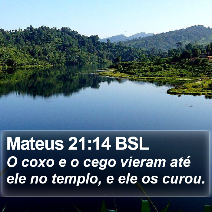 Mateus 21:14 BSL Bible Study