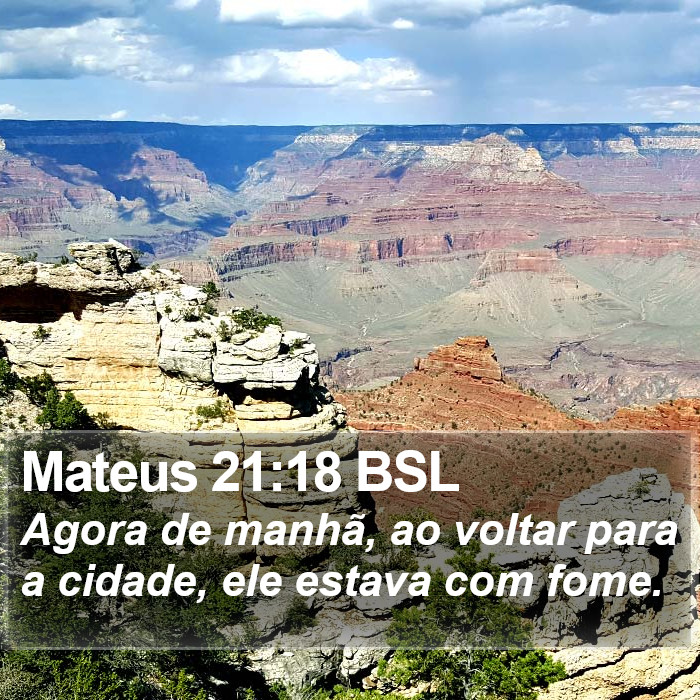 Mateus 21:18 BSL Bible Study