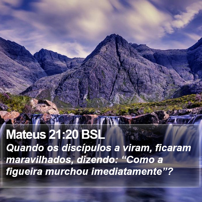 Mateus 21:20 BSL Bible Study