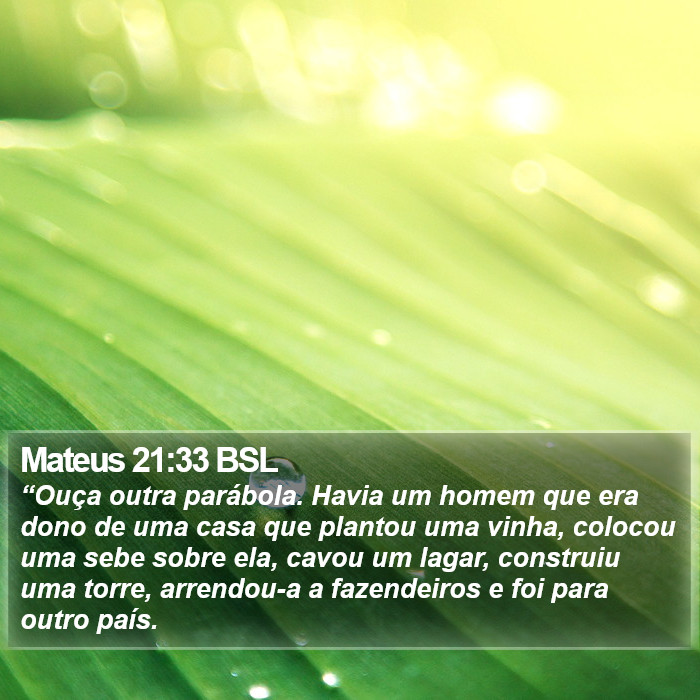 Mateus 21:33 BSL Bible Study