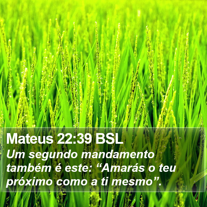 Mateus 22:39 BSL Bible Study