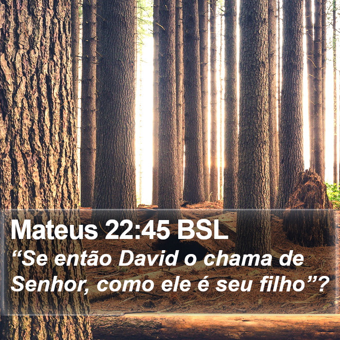 Mateus 22:45 BSL Bible Study