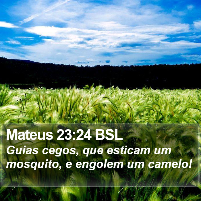 Mateus 23:24 BSL Bible Study