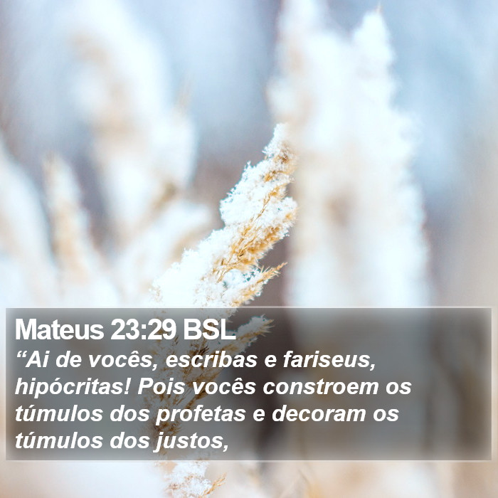 Mateus 23:29 BSL Bible Study