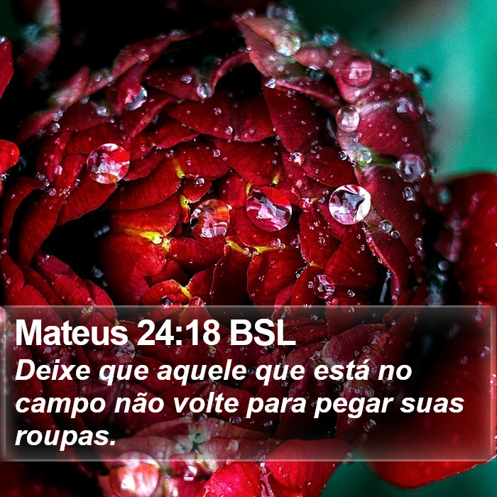 Mateus 24:18 BSL Bible Study