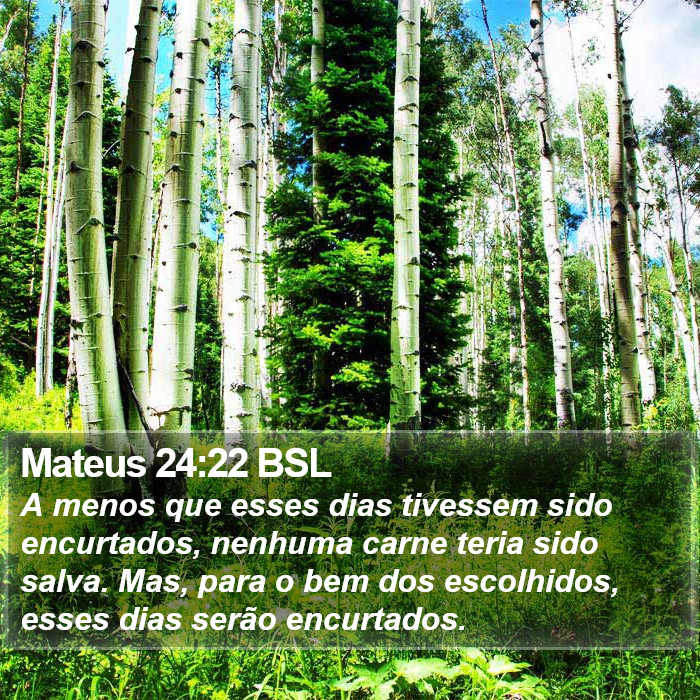 Mateus 24:22 BSL Bible Study