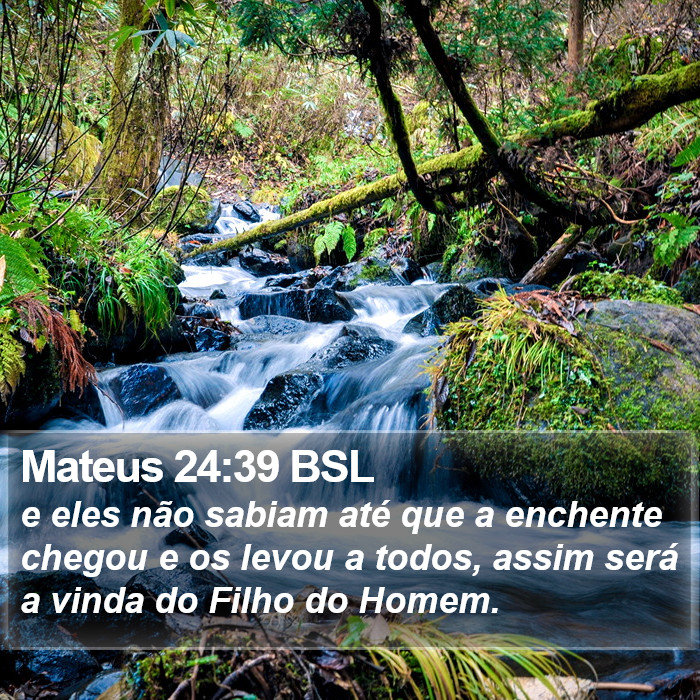 Mateus 24:39 BSL Bible Study