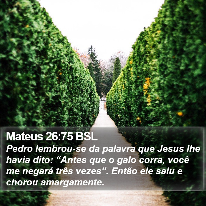 Mateus 26:75 BSL Bible Study