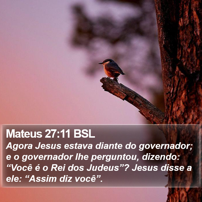 Mateus 27:11 BSL Bible Study