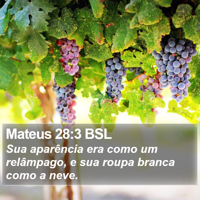 Mateus 28:3 BSL Bible Study