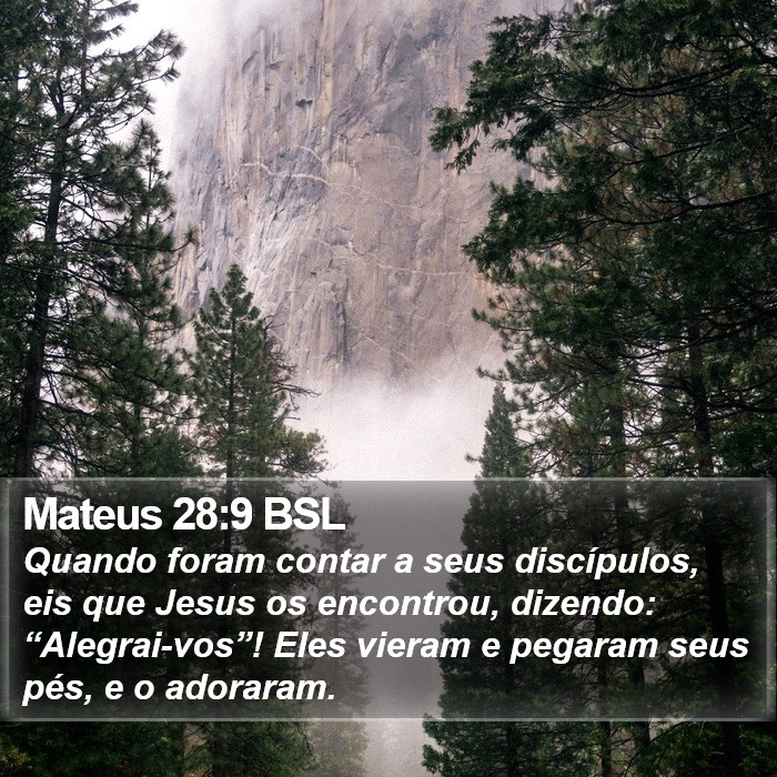 Mateus 28:9 BSL Bible Study
