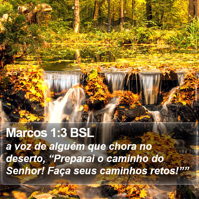 Marcos 1:3 BSL Bible Study