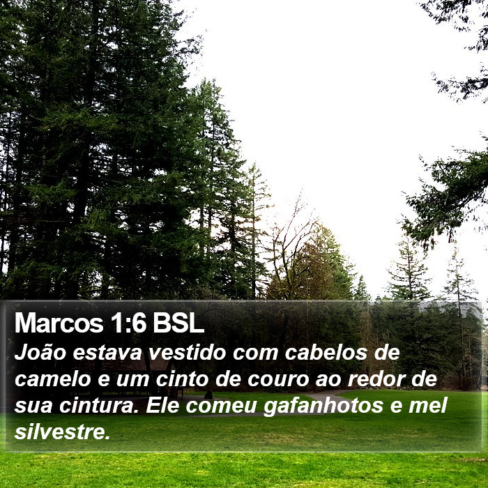 Marcos 1:6 BSL Bible Study