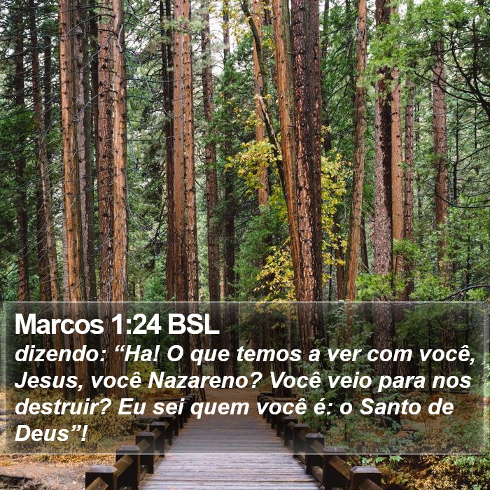 Marcos 1:24 BSL Bible Study