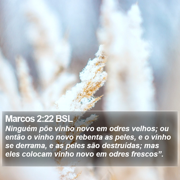 Marcos 2:22 BSL Bible Study