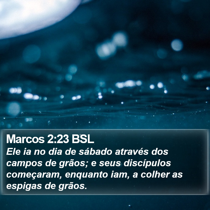 Marcos 2:23 BSL Bible Study