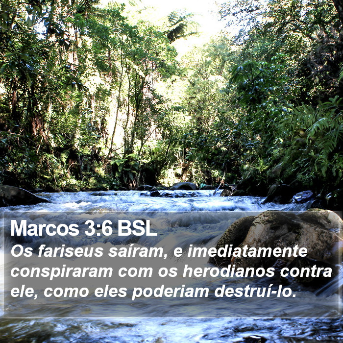 Marcos 3:6 BSL Bible Study