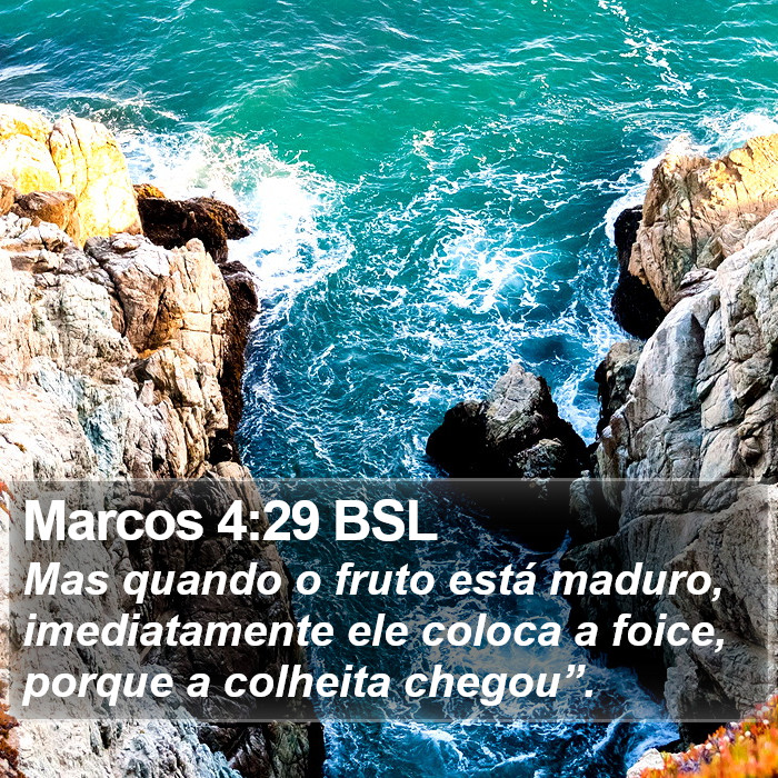 Marcos 4:29 BSL Bible Study