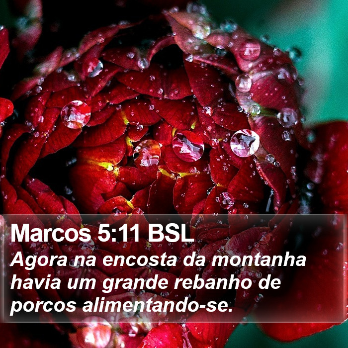 Marcos 5:11 BSL Bible Study