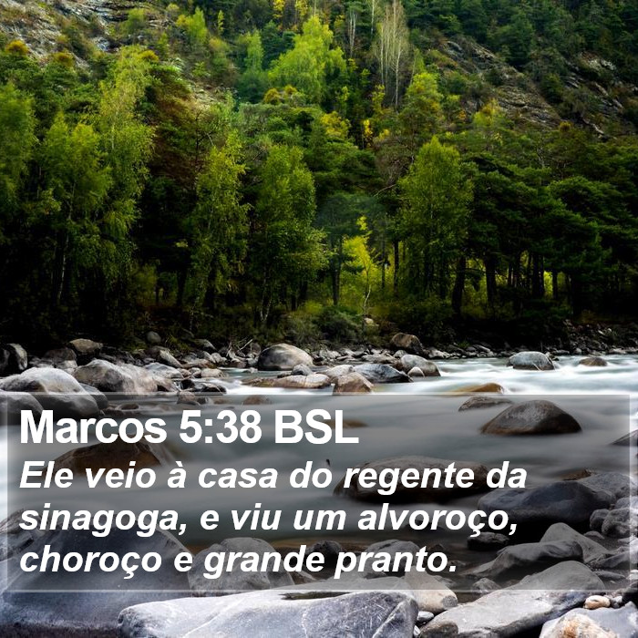 Marcos 5:38 BSL Bible Study