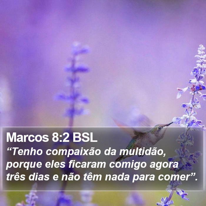 Marcos 8:2 BSL Bible Study