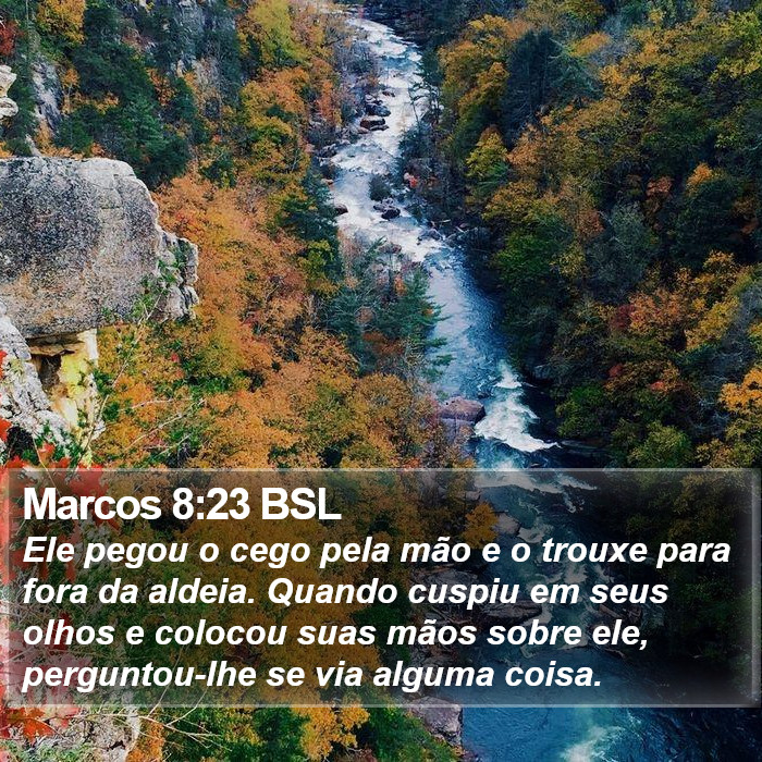 Marcos 8:23 BSL Bible Study