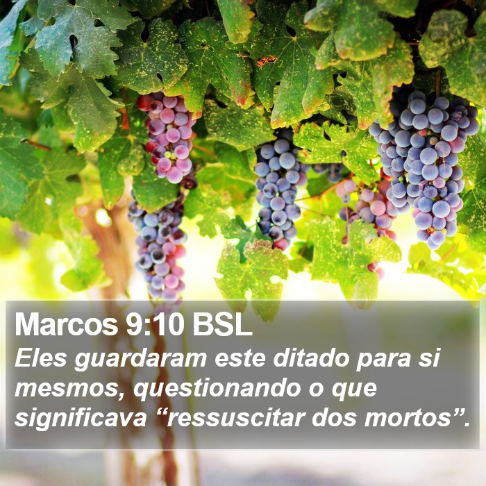 Marcos 9:10 BSL Bible Study