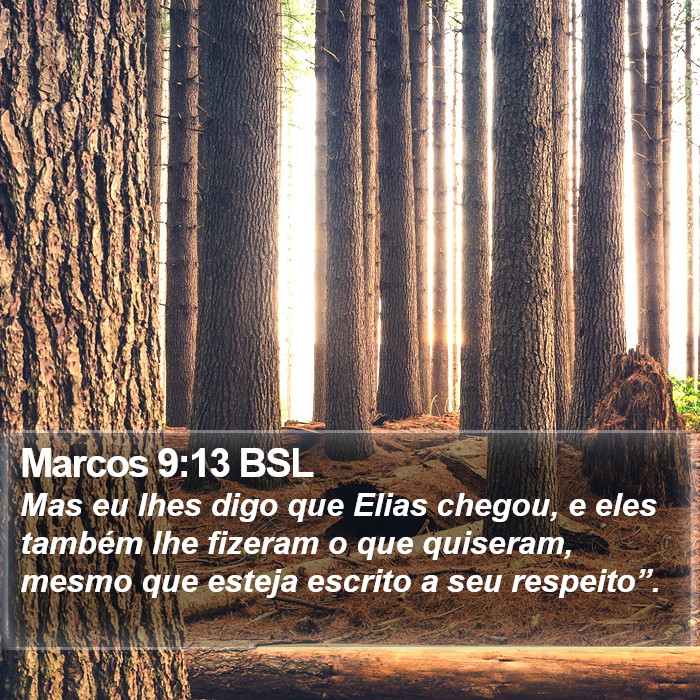 Marcos 9:13 BSL Bible Study