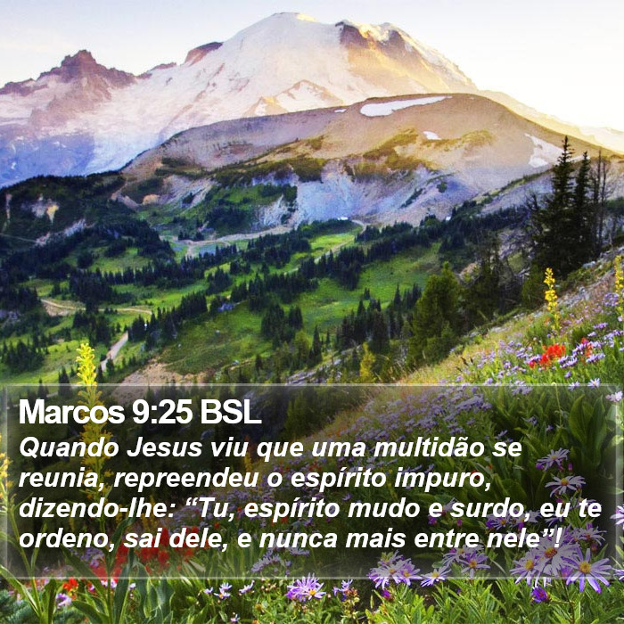 Marcos 9:25 BSL Bible Study