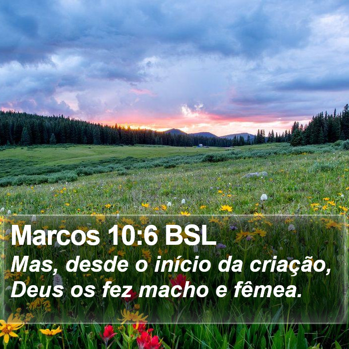 Marcos 10:6 BSL Bible Study