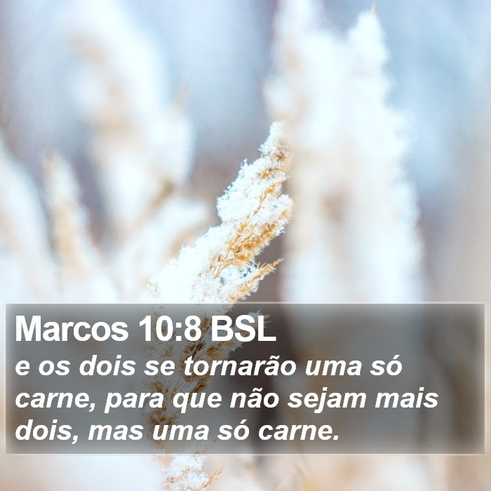 Marcos 10:8 BSL Bible Study
