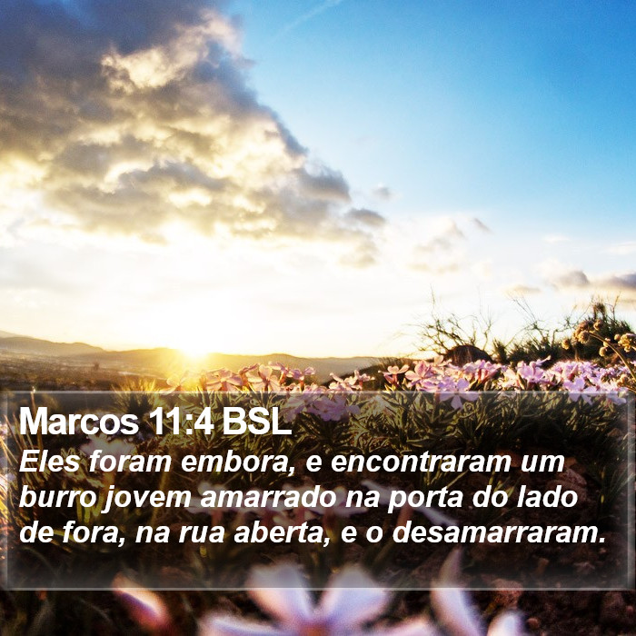 Marcos 11:4 BSL Bible Study