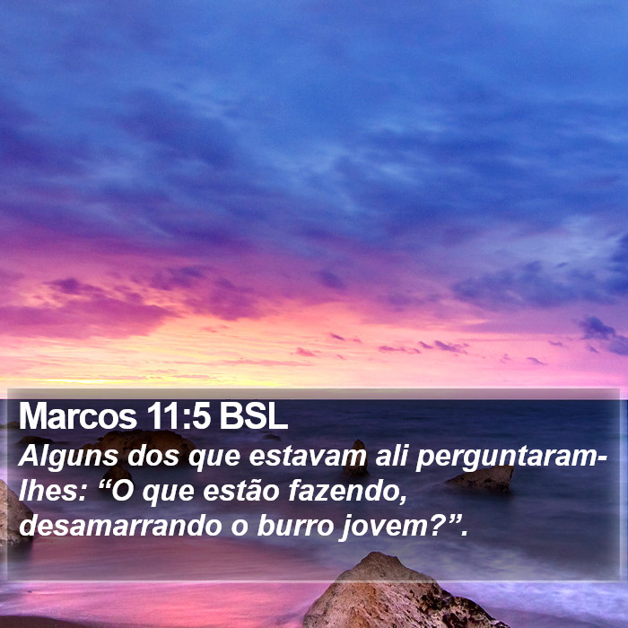 Marcos 11:5 BSL Bible Study