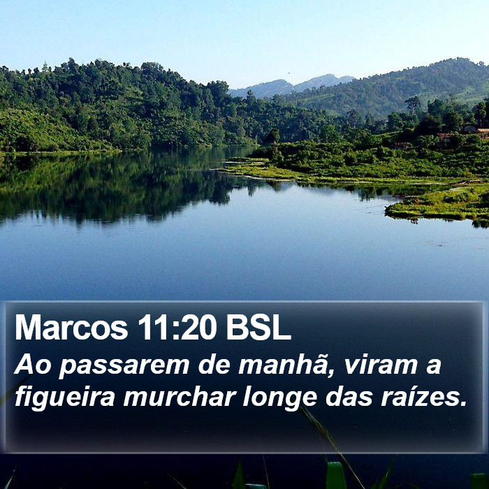 Marcos 11:20 BSL Bible Study