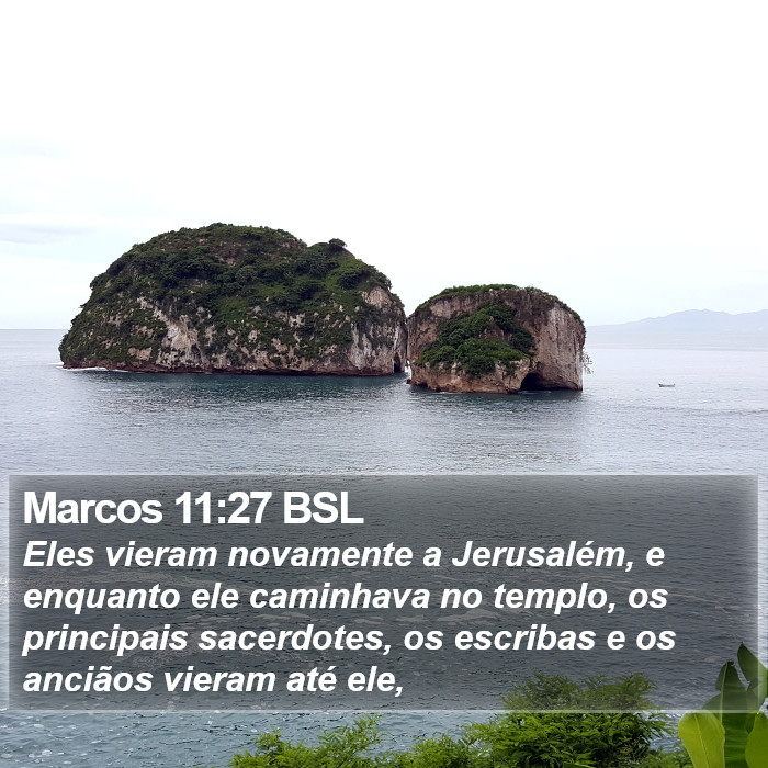 Marcos 11:27 BSL Bible Study