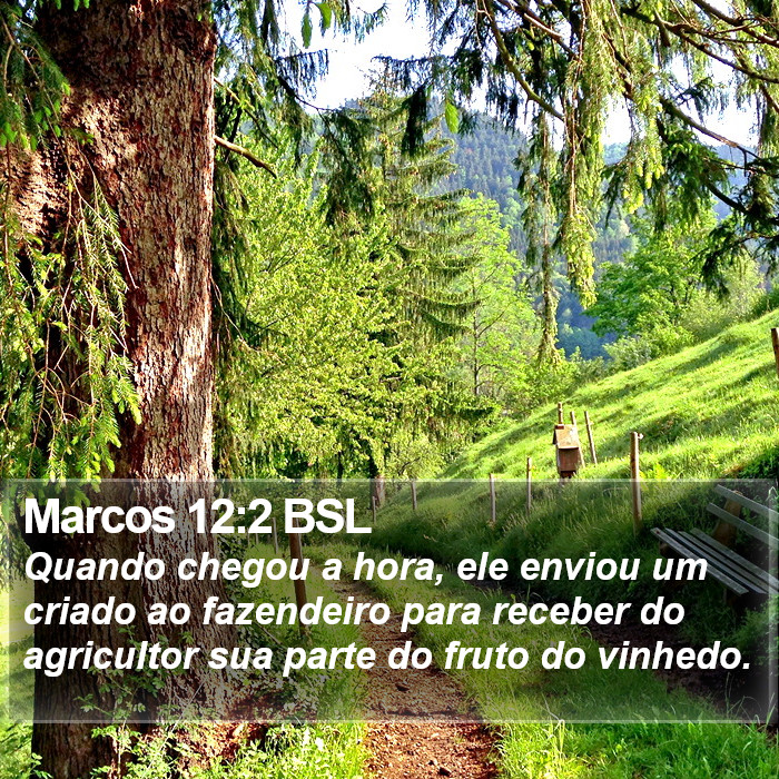 Marcos 12:2 BSL Bible Study