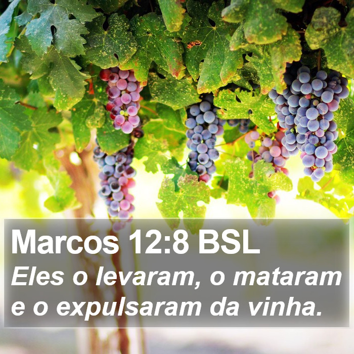 Marcos 12:8 BSL Bible Study